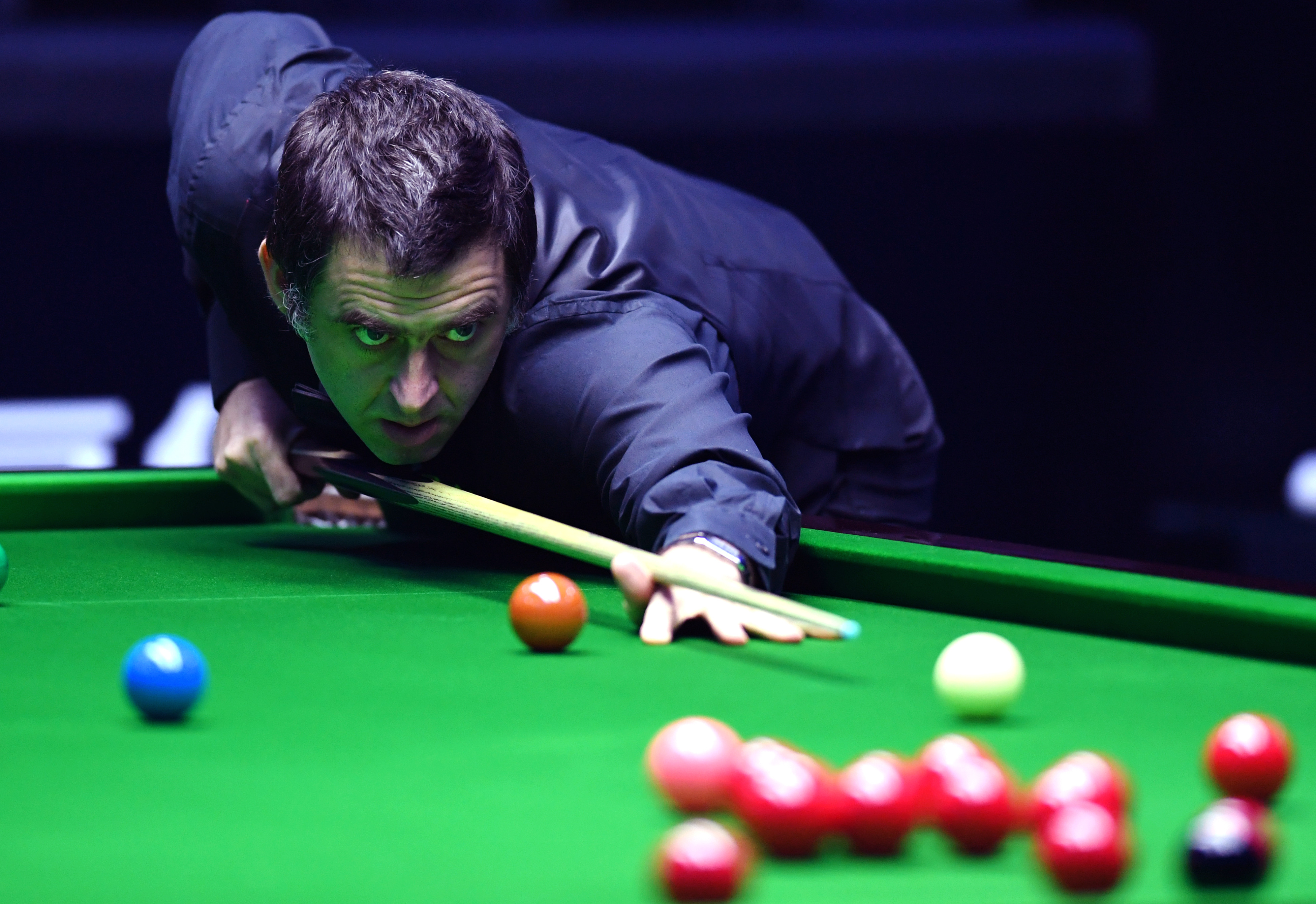 了探長的高 了探長的高