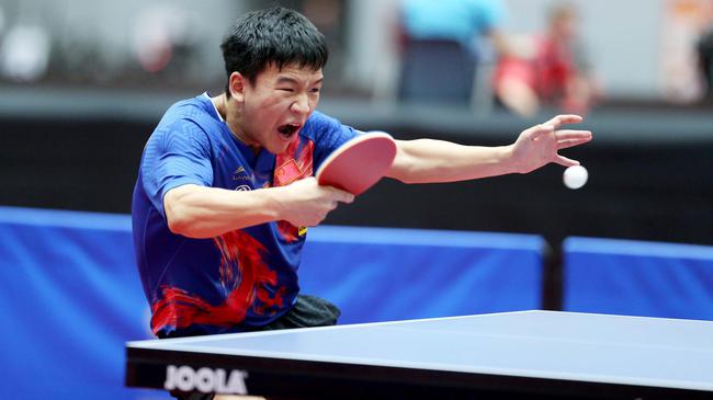 亮相在即 亮相在即